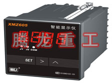 溫度表、數字顯示儀、濕度表