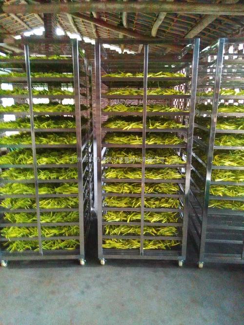 黃花菜烘干機(jī)、黃花菜烘干設(shè)備、黃花菜干燥機(jī)、黃花菜干燥設(shè)備、